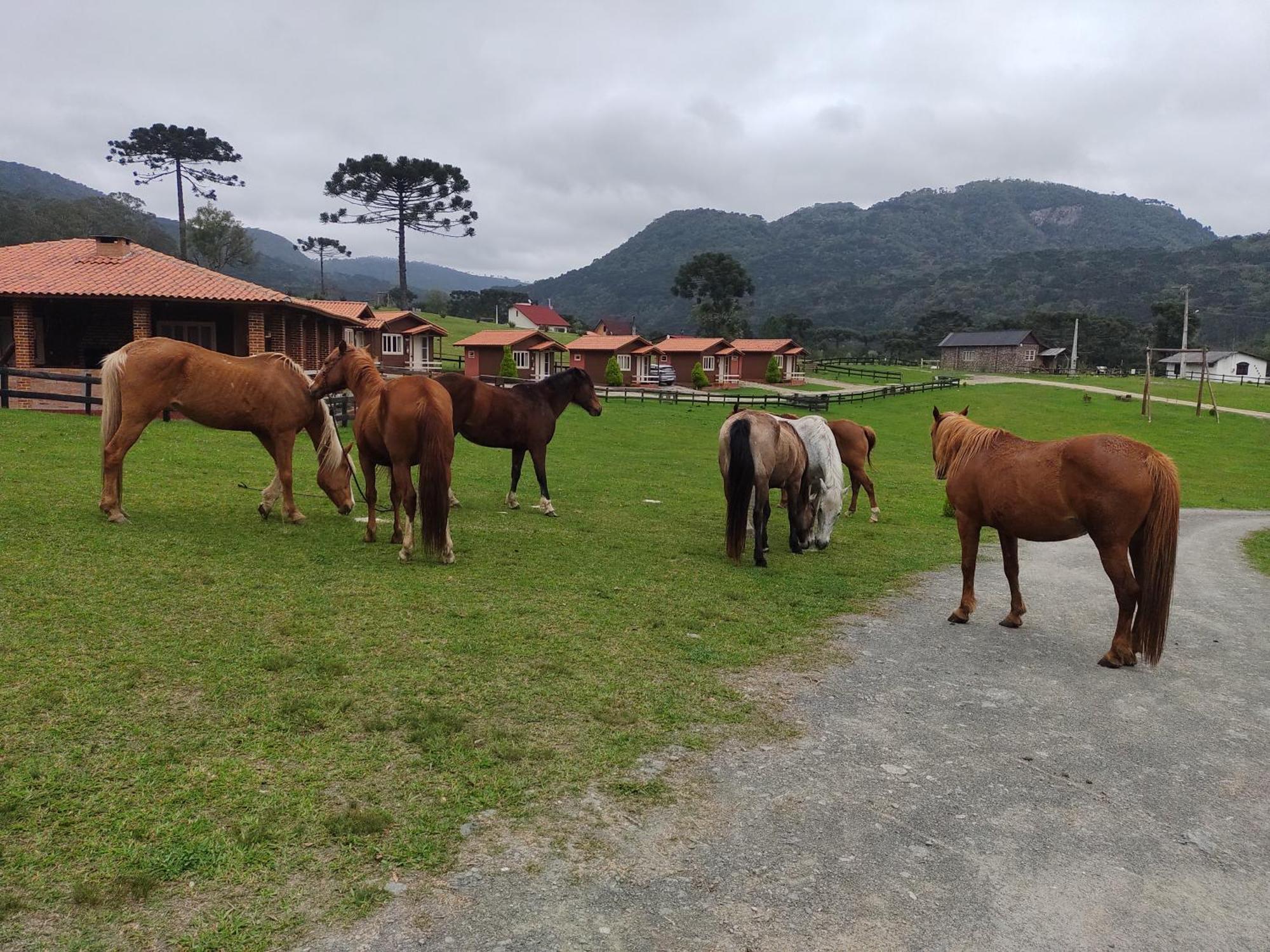 Hotel Sítio Rancho crioulo Urubici Exterior foto